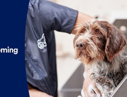 Petco Grooming